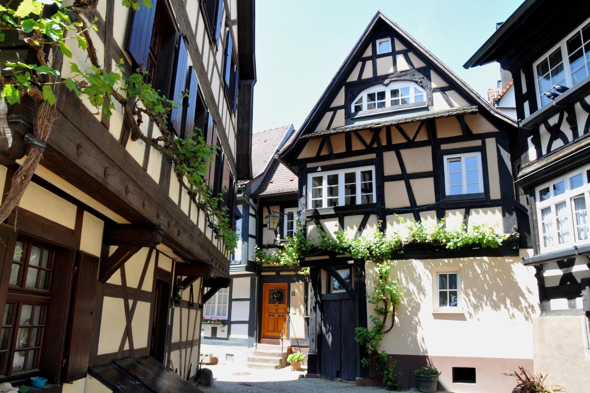 Ferienwohnung Sester Gengenbach Luaran gambar
