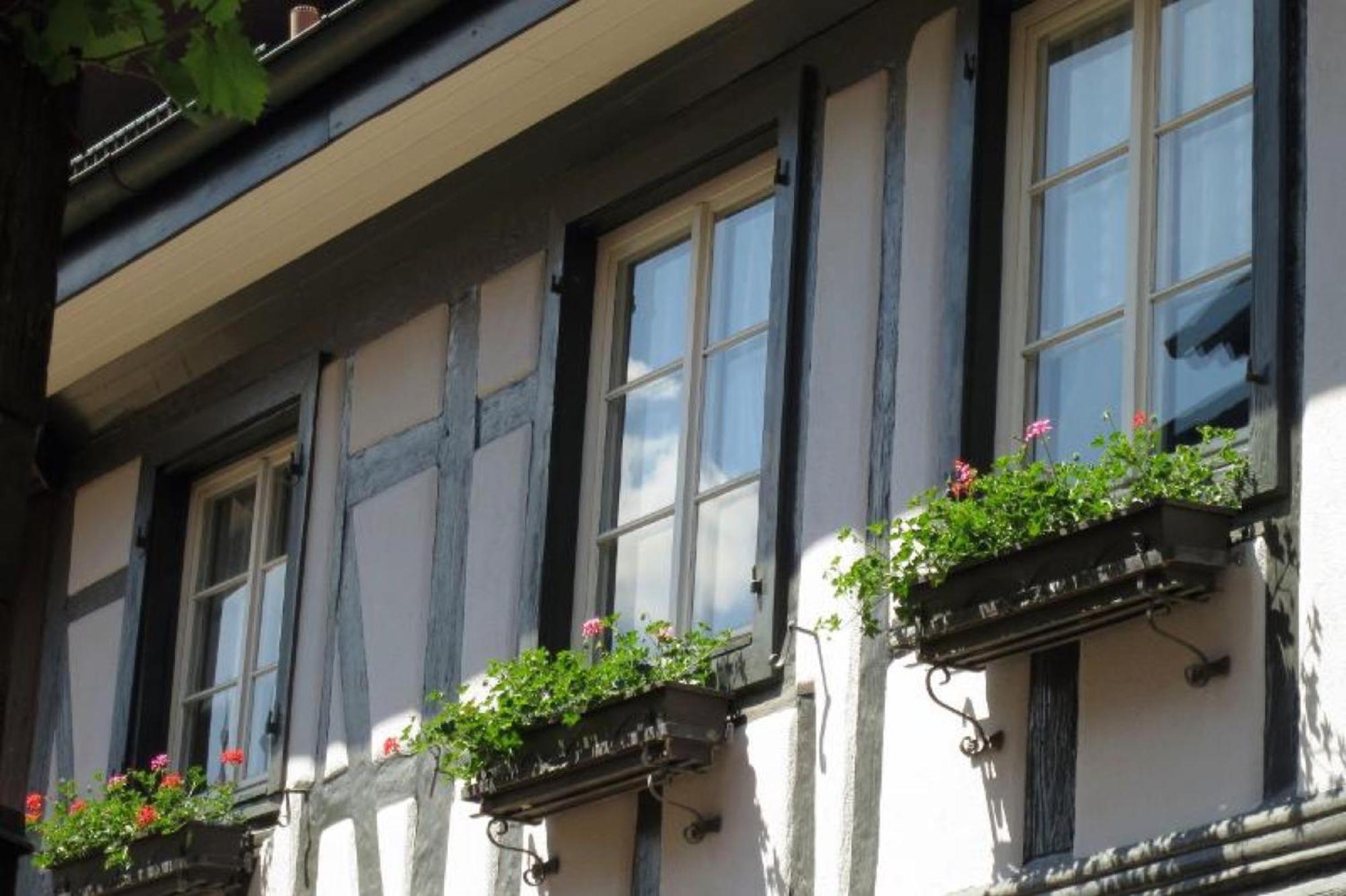 Ferienwohnung Sester Gengenbach Luaran gambar
