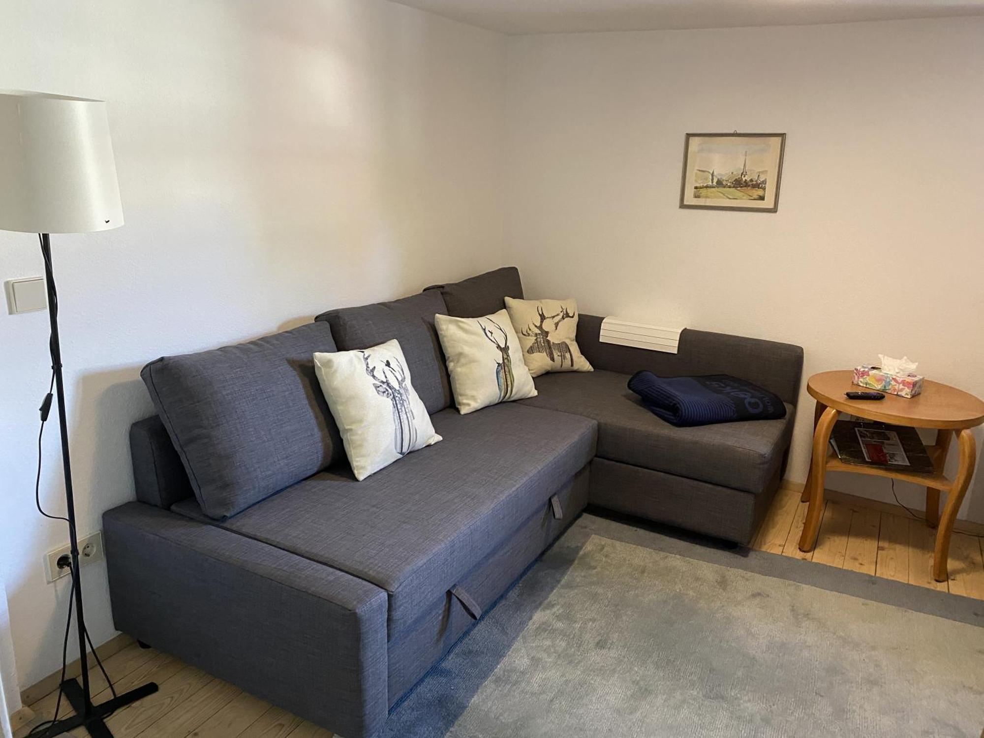 Ferienwohnung Sester Gengenbach Luaran gambar