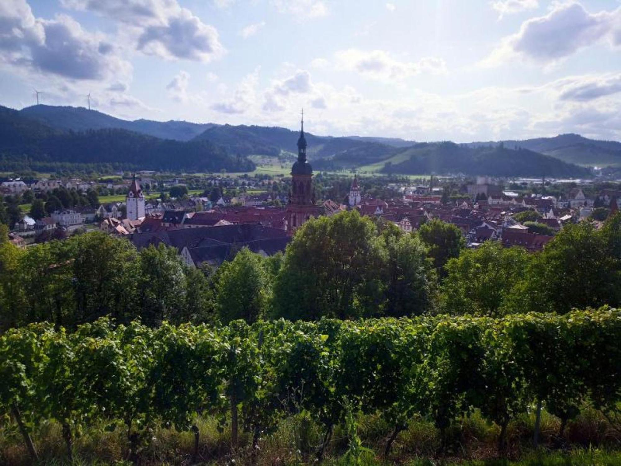 Ferienwohnung Sester Gengenbach Luaran gambar